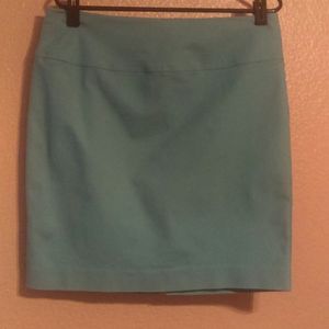 Ellen Tracy skirt